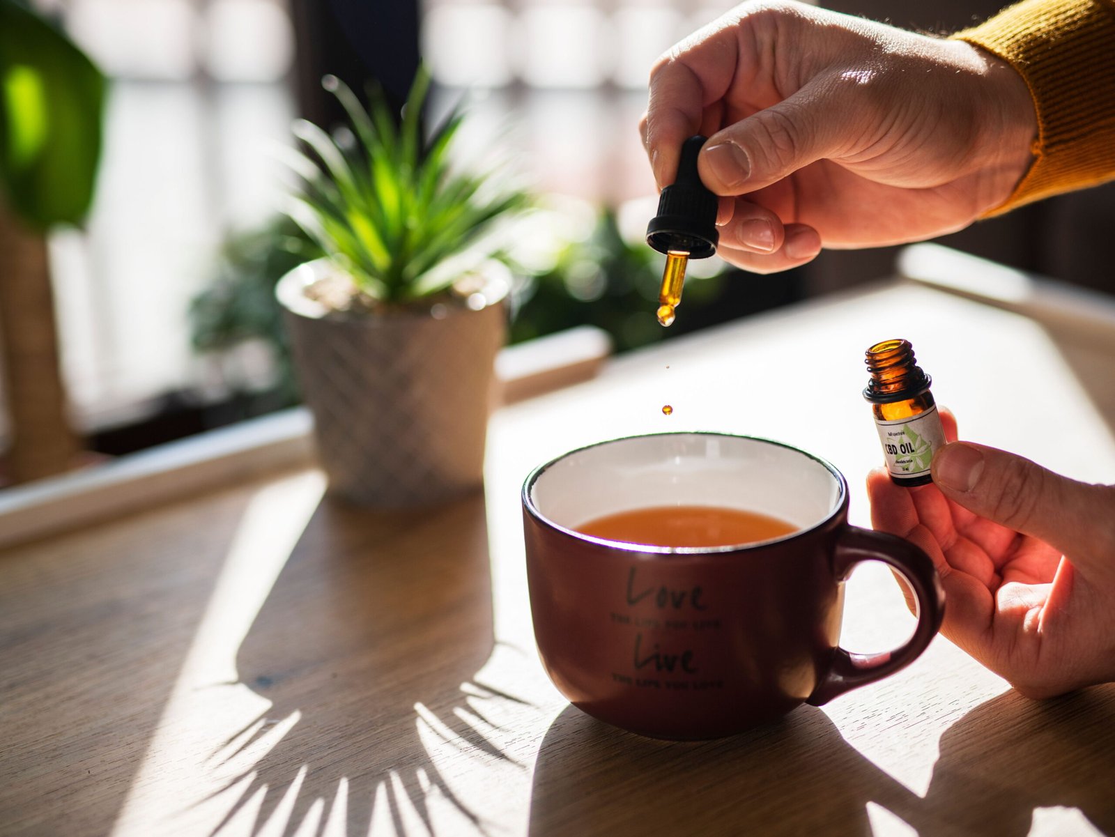 You are currently viewing Best Remedies for Hormonal Imbalance Treatment in Homeopathy