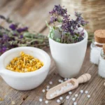 How Homeopathic Medicine for Brain and Nerves Supports Mental Health